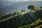 View of the Douro Valley in the backlight of sunset, near Pinhao, Portugal.