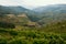 View of Douro Valley, vineyards are on a hills.
