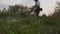 View from down of male gardener in process of cutting grass