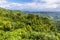 A view down from the mountain peak in the tropical rainforest in Puerto Rico