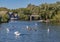 A view down the River Bure in the village of Hoveton and Wroxham on the Norfolk Broads