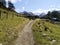 View down track and farm to distant mountains