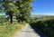 View down, Whitehall Lane, on a summers day in, Grindleton, Clitheroe, UK