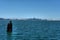 View of downtown San Francisco from Alameda, California