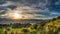 View of downtown Wellington New Zealand from Mount Victoria Look