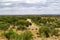 View of a dry river in the middle of the savannah of Tarangire National Park with trees on both sides Tanzania