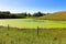 View of a drying pond covered in duckweed