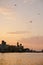 View of Dubai creek with lots of seagulls and at sunset