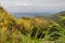 View of Dumaguete city from the slopes of Mount Talinis, Negros island, Philippin