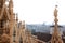 View from the Duomo di Milano, Italy