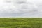 View on a Dutch landscape with an empty field or meadow with fresh green grass and an overcast grey sky