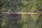 View of DÃƒo river, with trees, rocks and vegetation on the banks, reflections in the water and bright colors