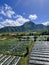 View early morning at sembalun hill. Lombok, Indonesia, March 22, 2022