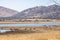 View of an earth dam, with herds of Impala and Blue Wildebeest.