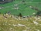 View from the Ebenalp hill in the Alpstein mountain range and in the Appenzellerland region