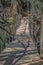 View of ecological bridge, made with recycled materials, in pedestrian route in the DÃƒÂ£o river