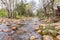 View of the Eerste River in Stellenbosch