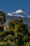 View of El Teide Volcano With Pine Forest-Spain