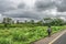 View of elderly woman farmer, walking on the side of the road, typical tropical landscape as background