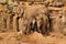 A view of an Elephant with calves