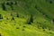 View on the elevator, ski lifts for the pass, cable car, Sella massif green hills. Dolomites, Italy, Beautiful sunny summer day,