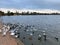 A view of Ellesmere Lake