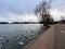 A view of Ellesmere Lake