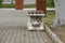 View of empty bench in form of lion. Park in Kacha, Crimea