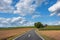 View of empty road with cornfield and trees