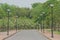 View of empty road flanked with street lamp.