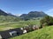 View of the Engelbergertal Valley, Settlement Stans and Mountain Stanserhorn, Ennetburgen - Canton of Nidwalden, Switzerland