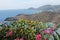 View of English Harbor in Antigua in Caribbean from Shirley Heights, English Harbor is the main docking area for yachts and pleasu