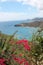 View of English Harbor in Antigua in Caribbean from Shirley Heights, English Harbor is the main docking area for yachts and pleasu