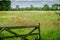 A view of an English wildflower meadow.