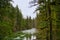 View of the Englishman River Falls located in Vancouver Island,