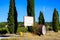 View on entrance of french vineyard with wine barrel, vines and mediterranean cypress trees cupressus sempervirens in a row aga