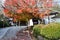 View of the entrance gate to Ryoanji Temple, a Zen temple as a site of Japan`s most famous rock