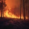 view Environmental crisis Forest ablaze, widespread fire, air pollution and habitat damage