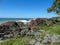 A view of eroded rocks, coastal grass and the ocean with white waves in the background.