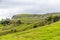 A view of an escarpment on the slopes on Ingleborough, Yorkshire, UK