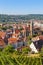 View on Esslingen town with ancient townhall and church travel traveling portrait format in Germany