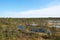View of estonian Viru Raba bog landscape with several small lakes and a small coniferous forest of spruces and pines with a wooden