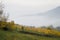 View of the Euganean Hills in autumn with fog and yellow vineyards - near Este, Padua