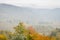 View of the Euganean Hills in autumn with fog and yellow vineyards - near Este, Padua