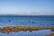 The view during evening before sunset at Pelican Lagoon in American River on Kangaroo Island in Australia.