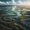 view of the Everglades in Florida, USA
