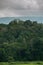 View Evergreen Forest,Khao Yai National Park Thailand under sun