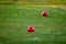 View on evergreen grass field on large golf course, green section with big red foam balls for beginners on Tenerife island, Canary