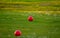 View on evergreen grass field on large golf course, green section with big red foam balls for beginners on Tenerife island, Canary