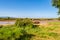 View of the Ewaso Ng`iro River in the savannah